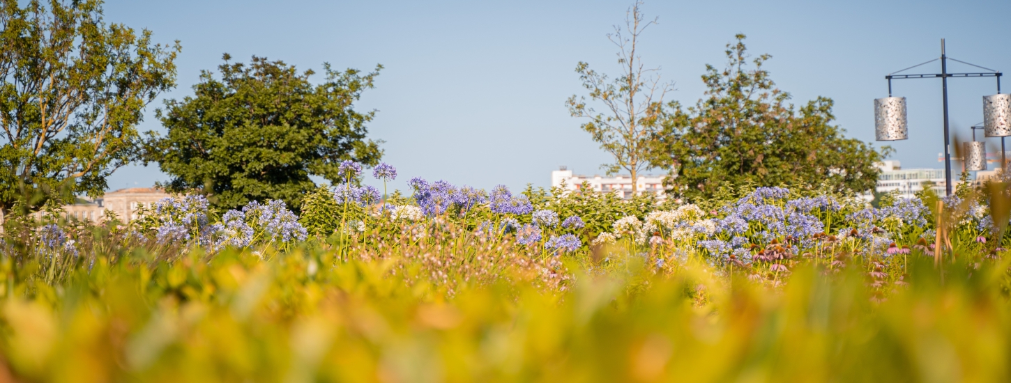 Quais de Bordeaux aménagements extérieurs végétalisés