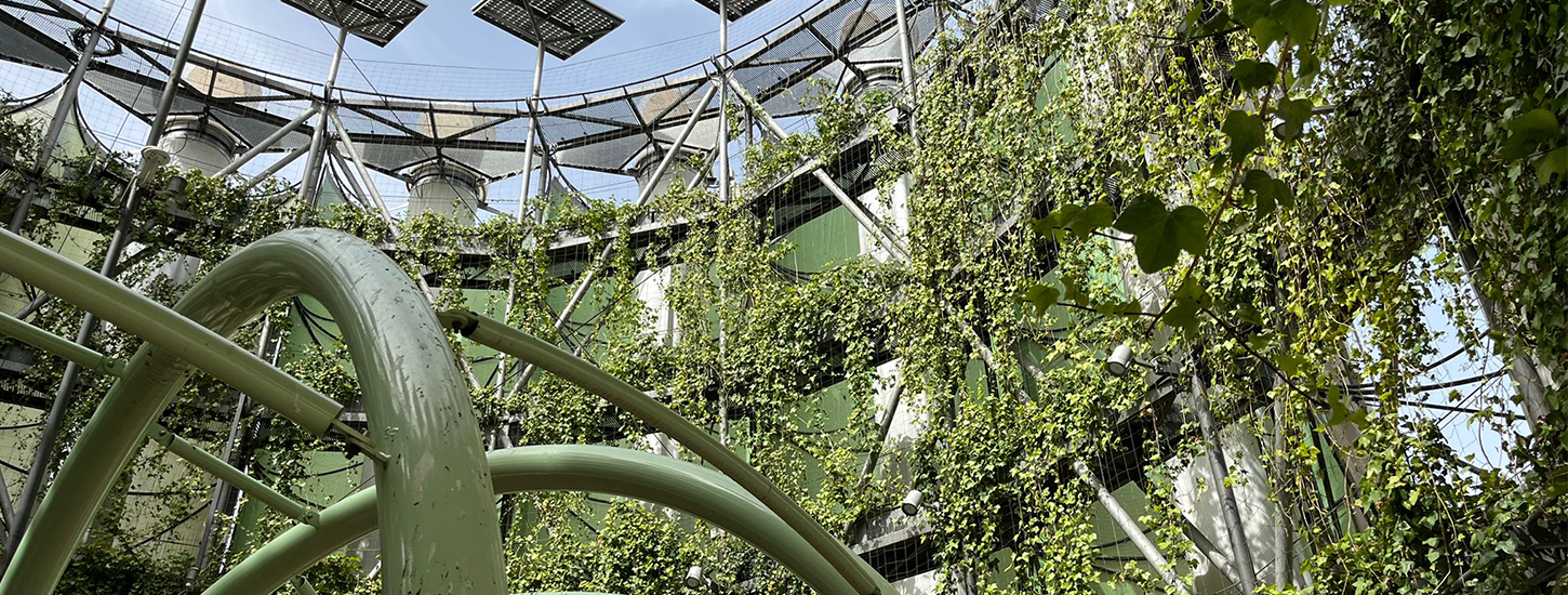 Réaménagement de l’espace urbain dans un quartier réhabilité