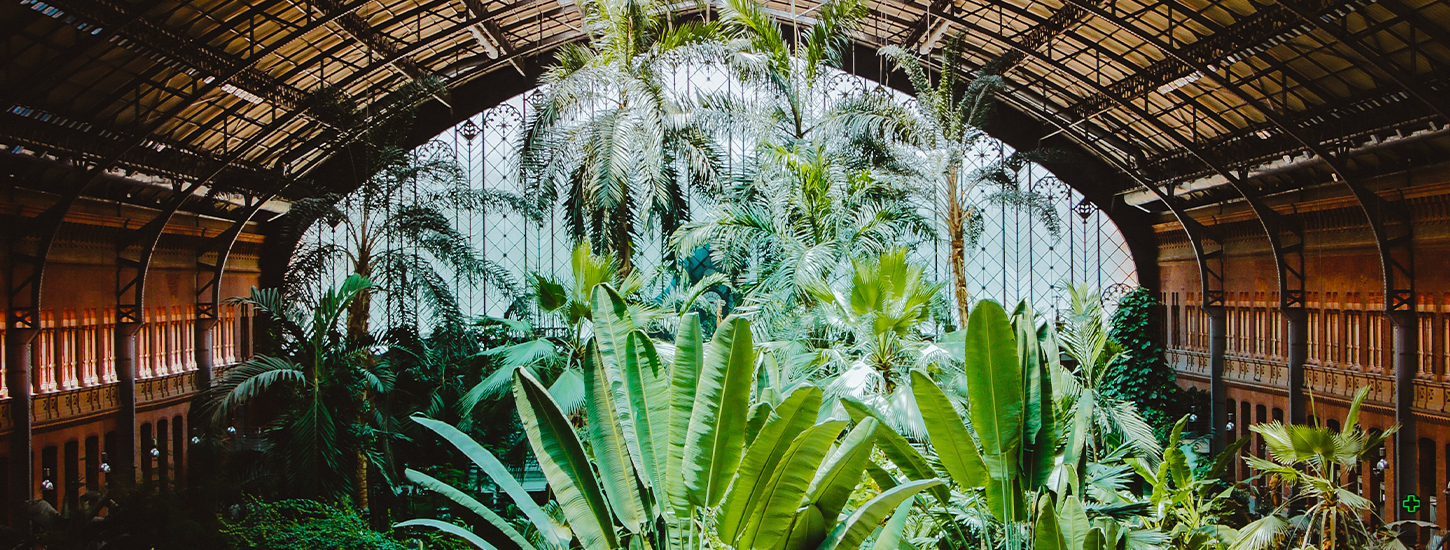 Jardin de 7 000 arbres et plantes intégré en 1992 par l'architecte Rafael Moneo