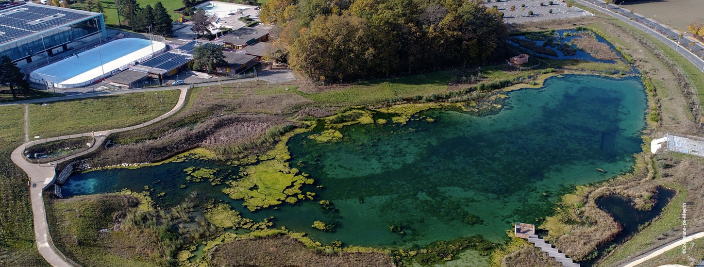 Redonner la place au végétal