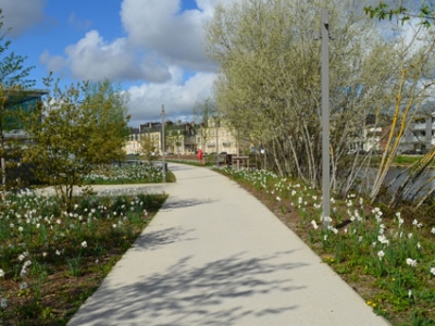 Intégrez le paysage et la réglementation dans vos projets d’aménagement