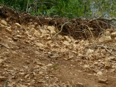 Le sol - apprentissage des bases fondamentales pour une démarche d'aménagement durable