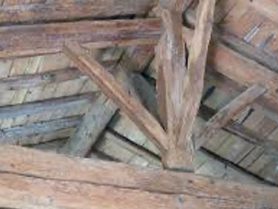 Webconférence : Construction bois - Préservation des bois en œuvre : Impact du règlement biocide et approches innovantes